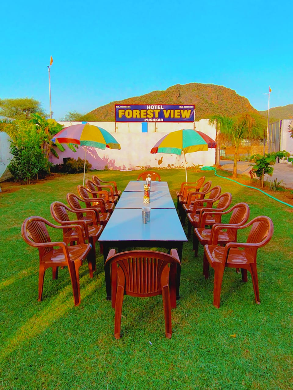 Luxury Hotel Experience